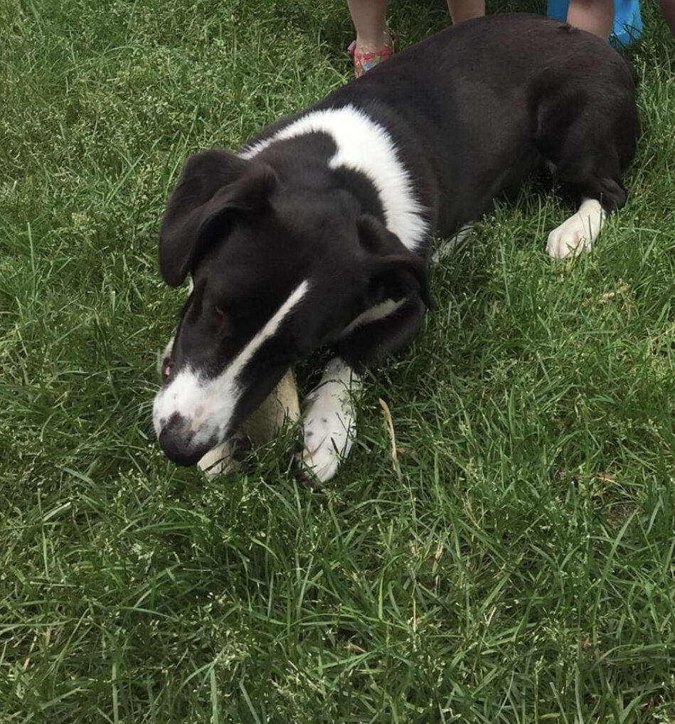 Neighborhood Celebrity