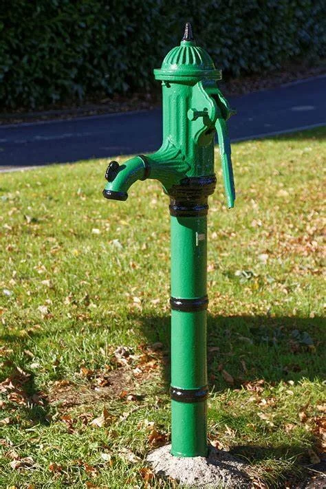 Living Need For Water