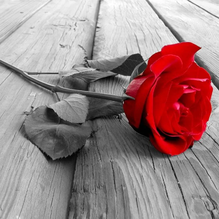 Discouragement &amp; Encouragement