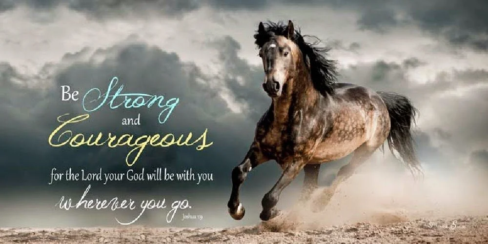 Be Strong &amp; Courageous