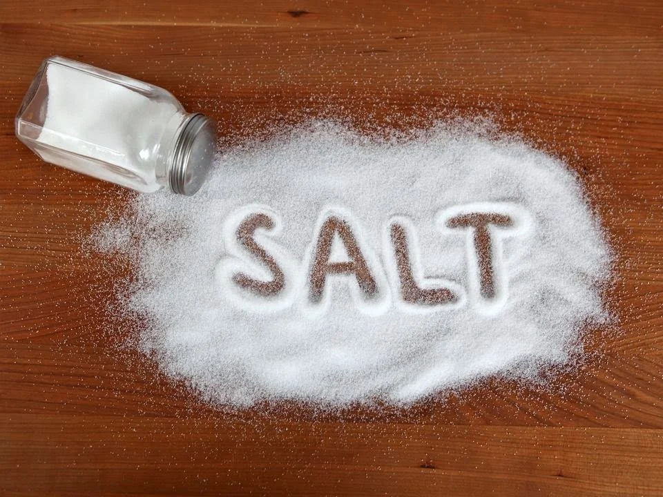 We Are Salt