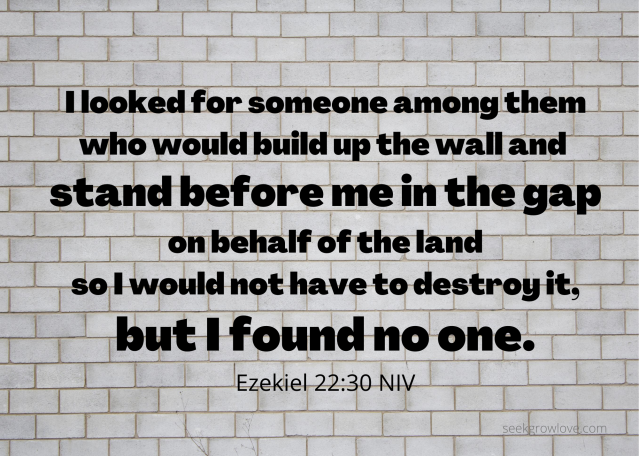 Who Will Stand in the Gap?