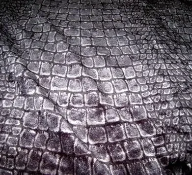 The Exit of the Snake