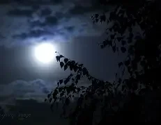 Dark Night of the Soul
