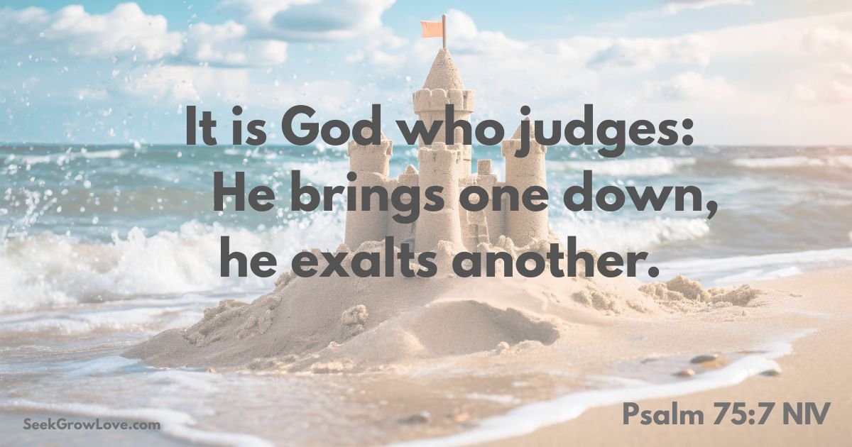 The Judge