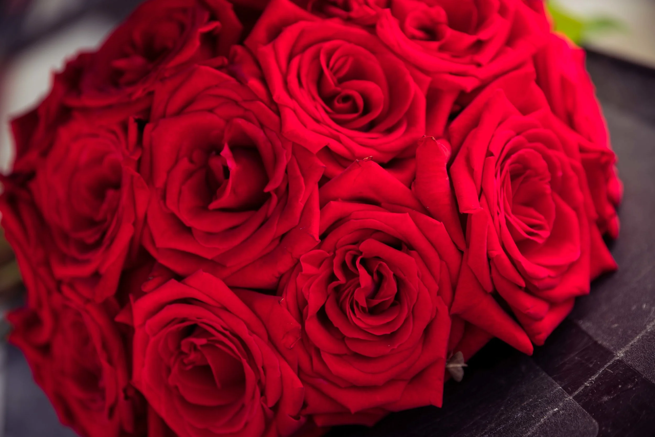 Show Album (101).JPG