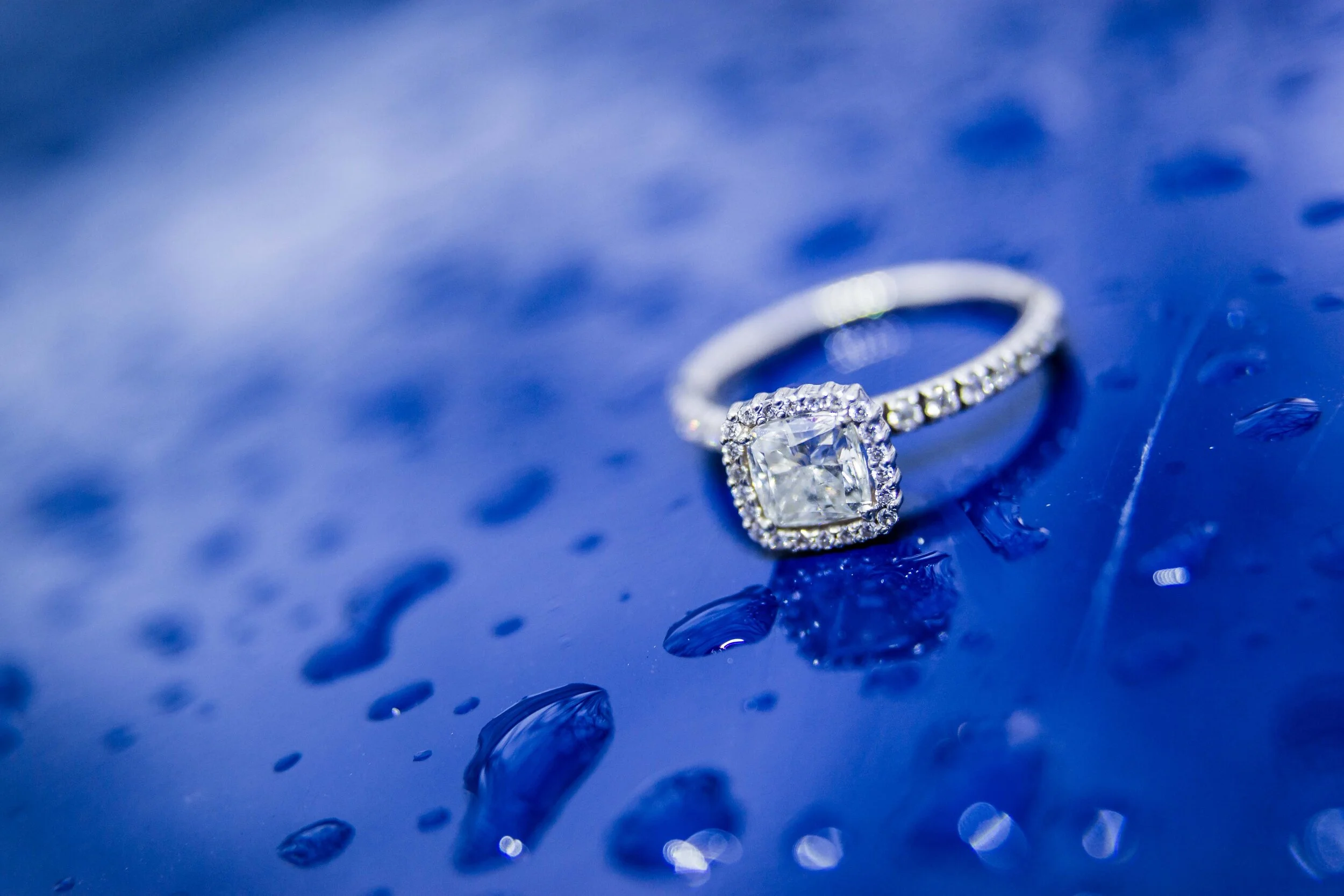 Show Album (138).JPG