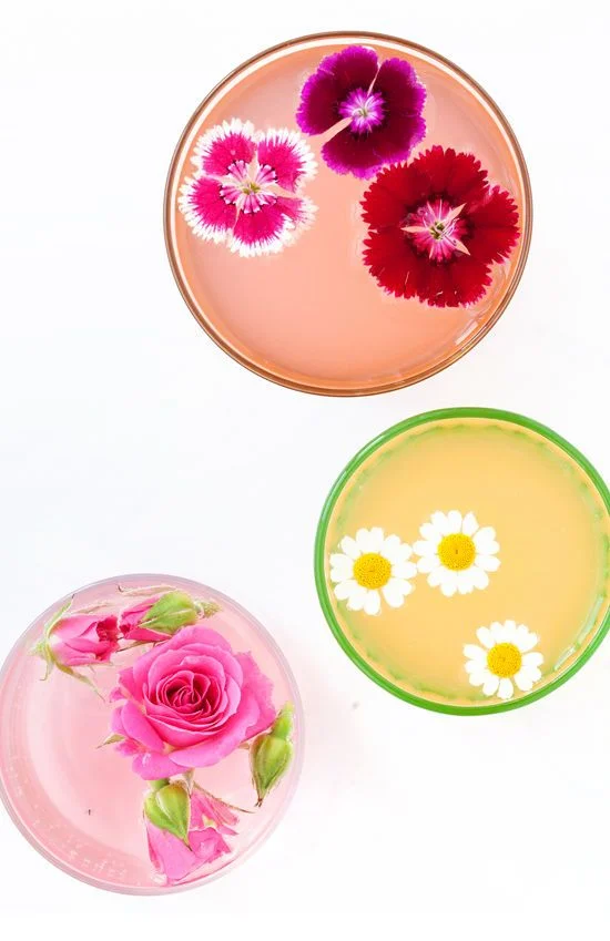 Image from Design Love Fest