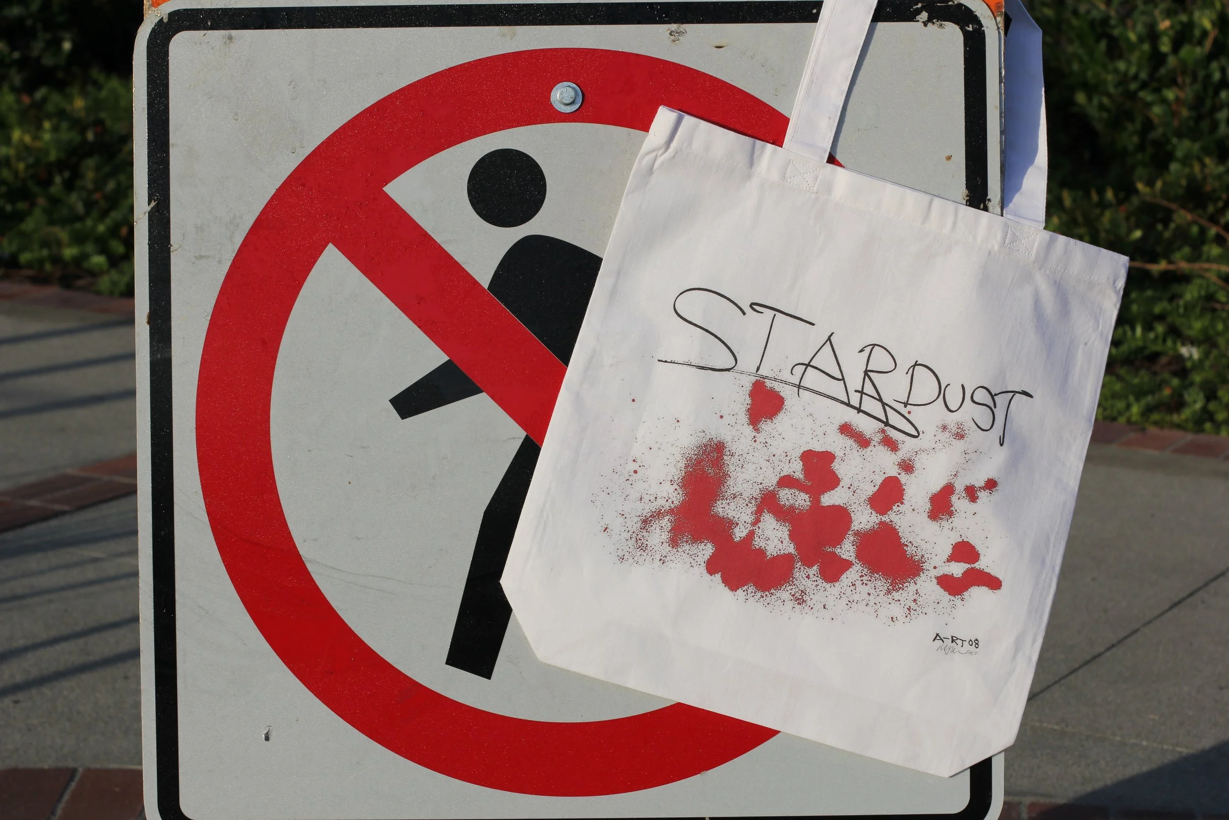 Bob Tannen Bag.JPG