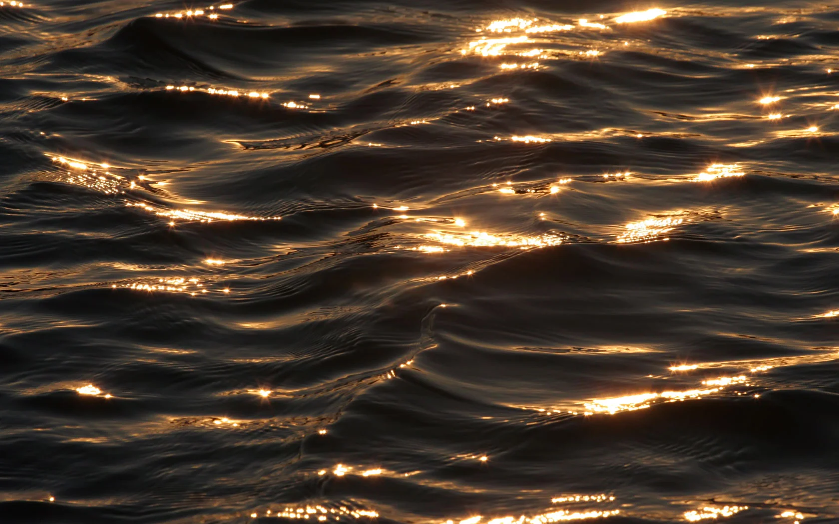 golden-dark-waters.jpg