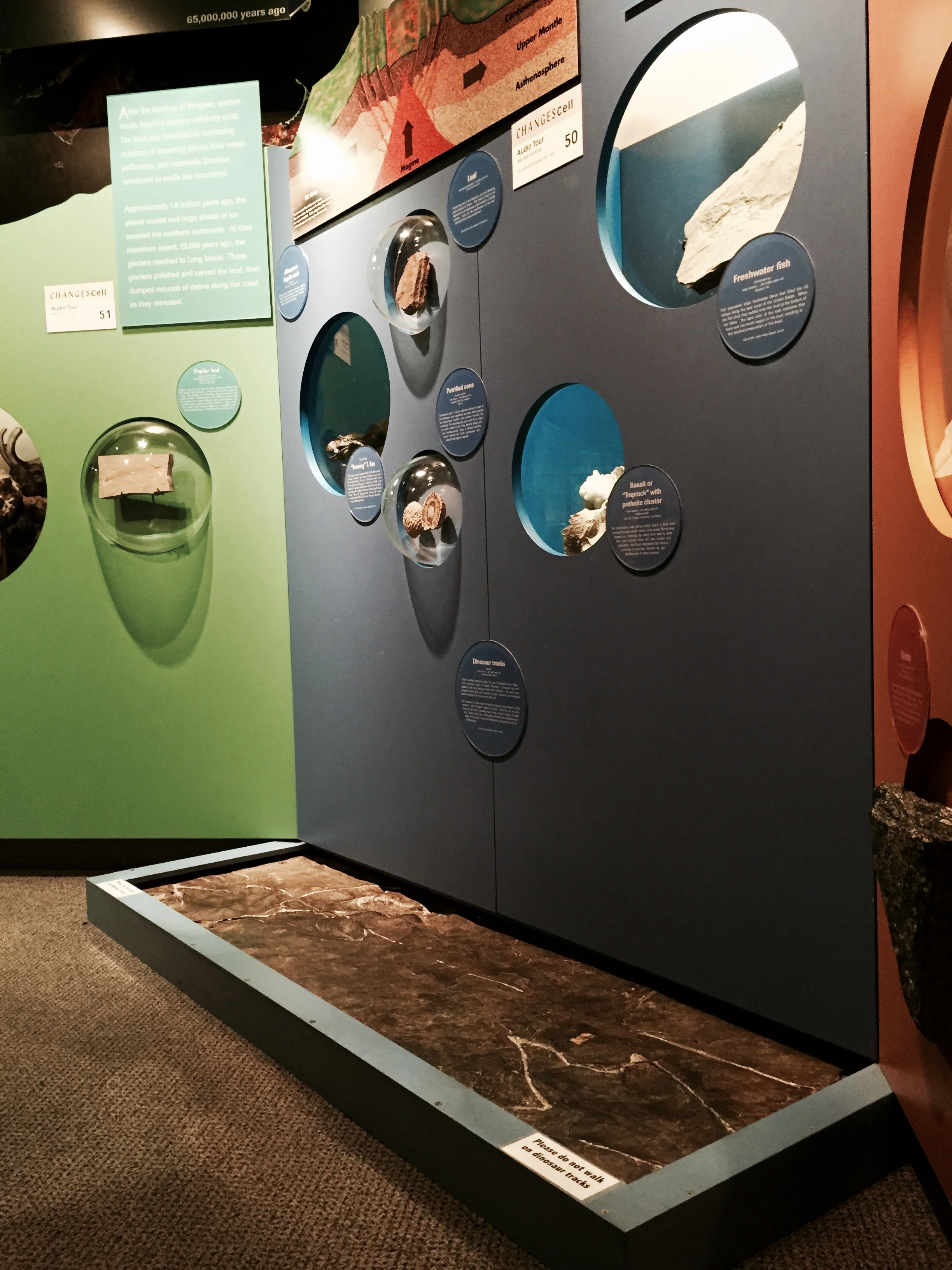 Triassic dinosaur footprints in the Changes in our Land gallery.