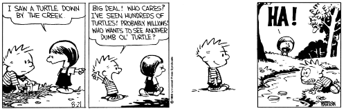 Classic Calvin and Hobbes comic strip.
