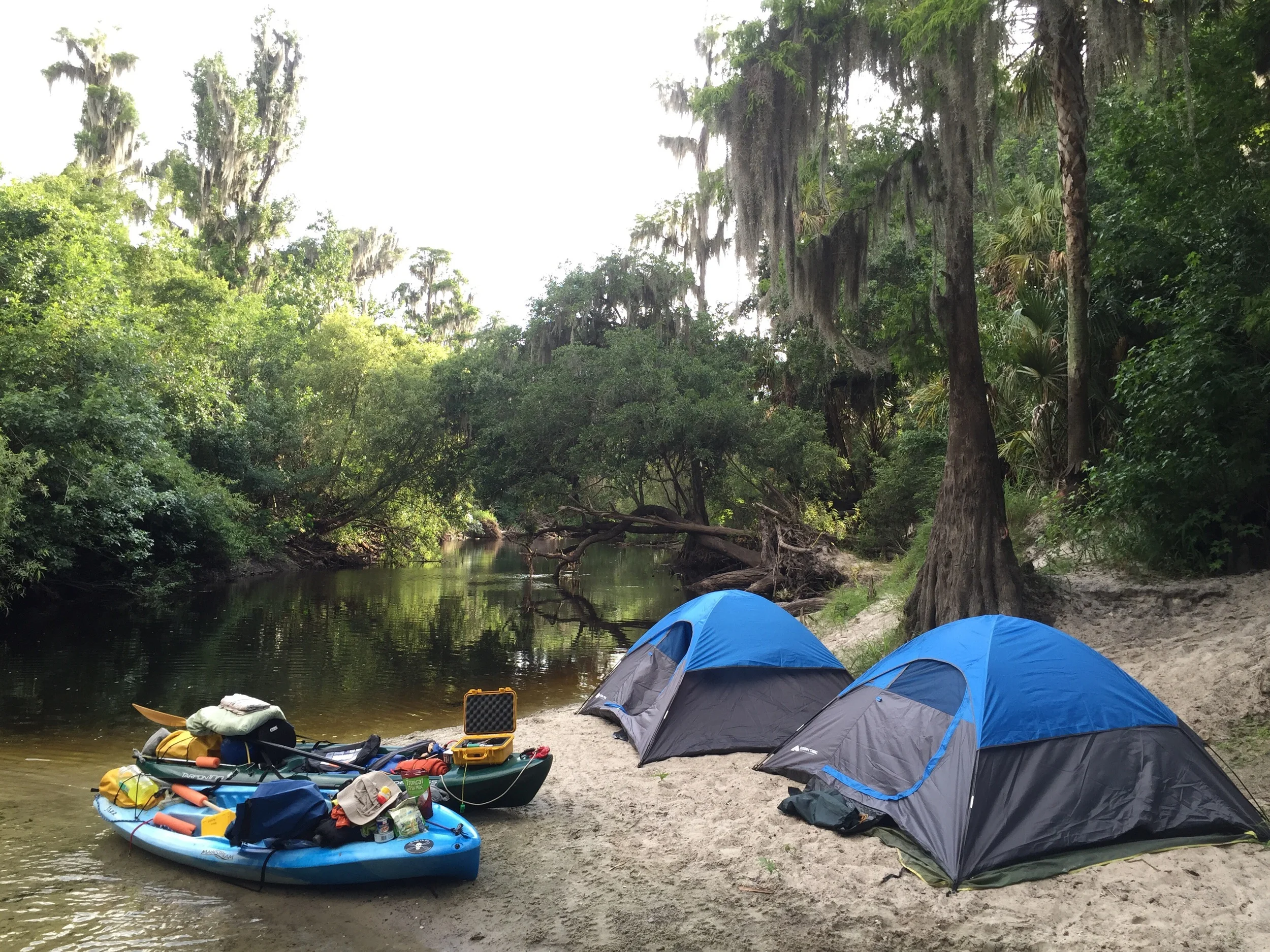Campsite on the bank of the Alafia River
