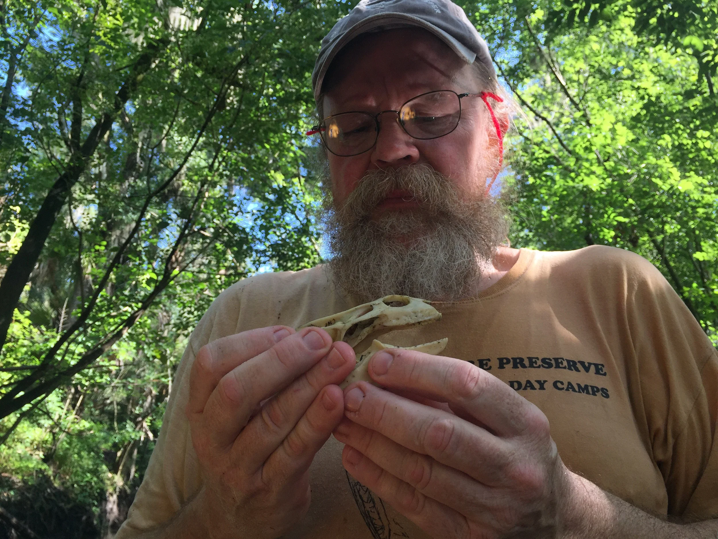 George inspecting a Florida softshell turtle skull.