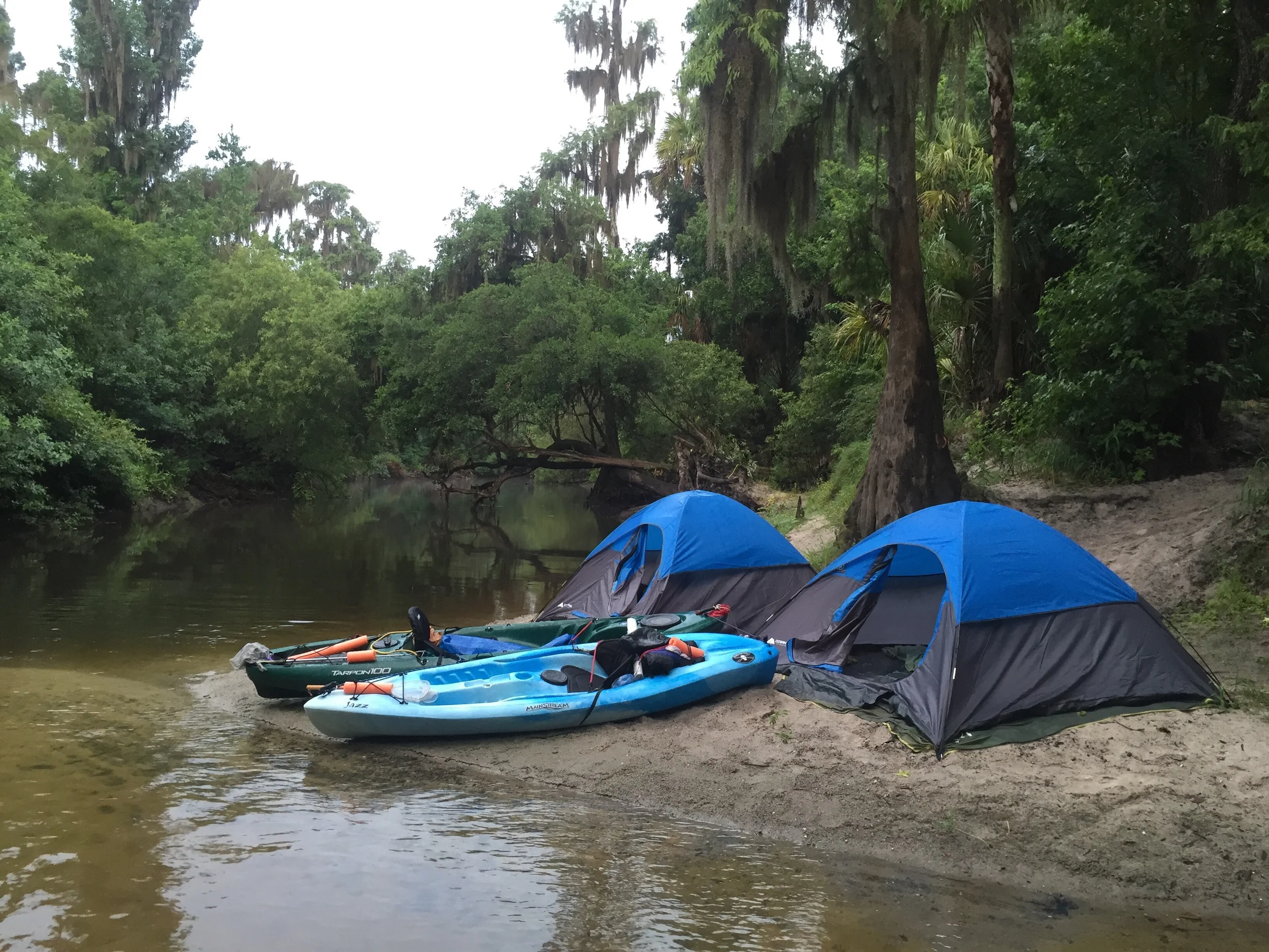 The swollen banks of the Alafia River.