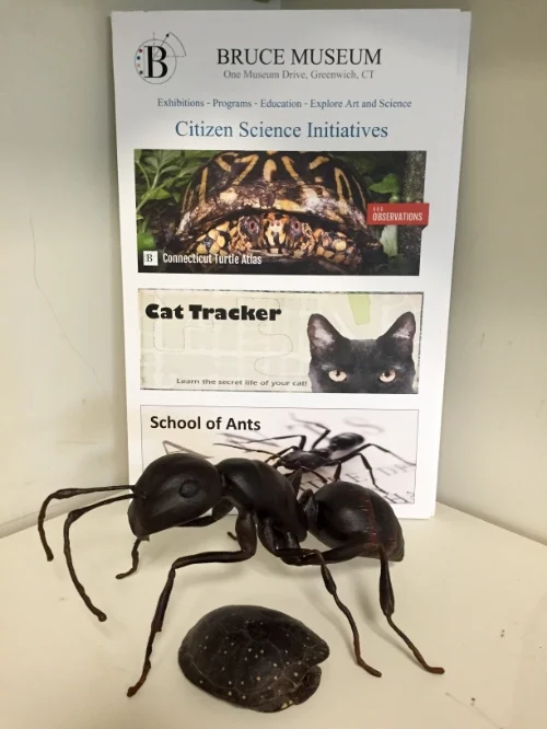 Citizen Science Day
