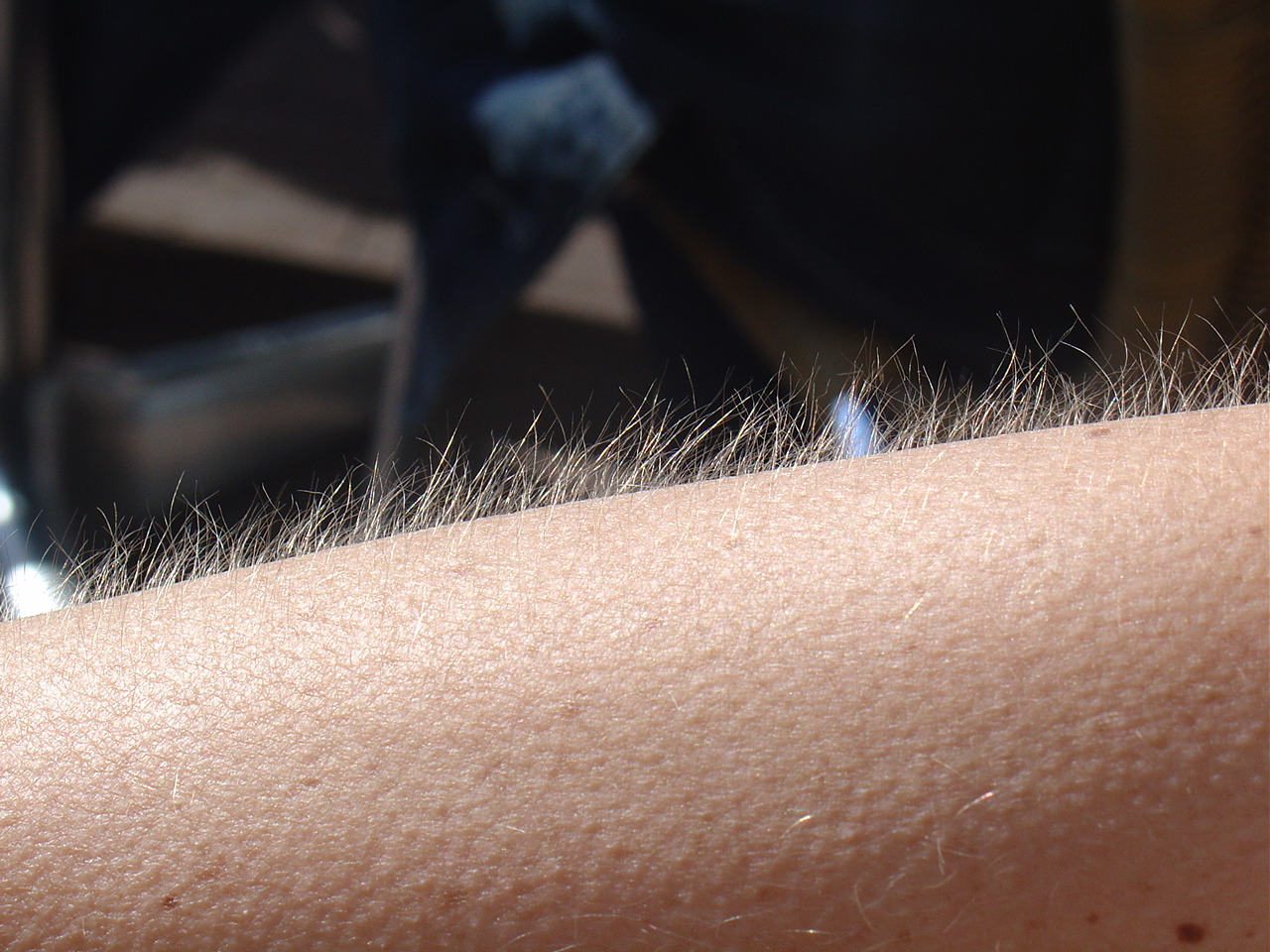 Courtesy of EverJean The skin of a plucked goose has a bumpy appearance matching that of a cold human. Thus, the word "goose bumps" was born. 