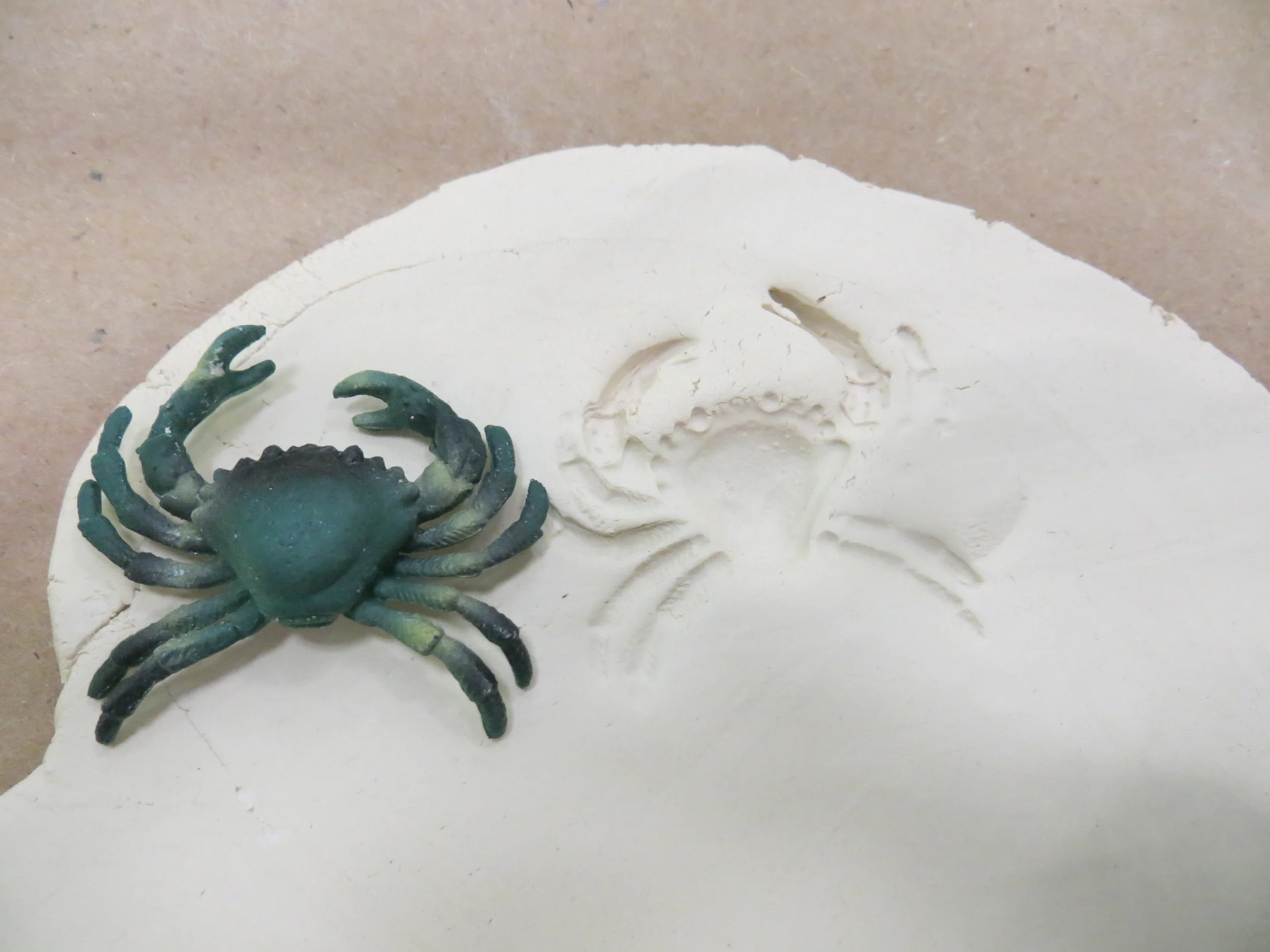 A Bruce Museum Education Exploration