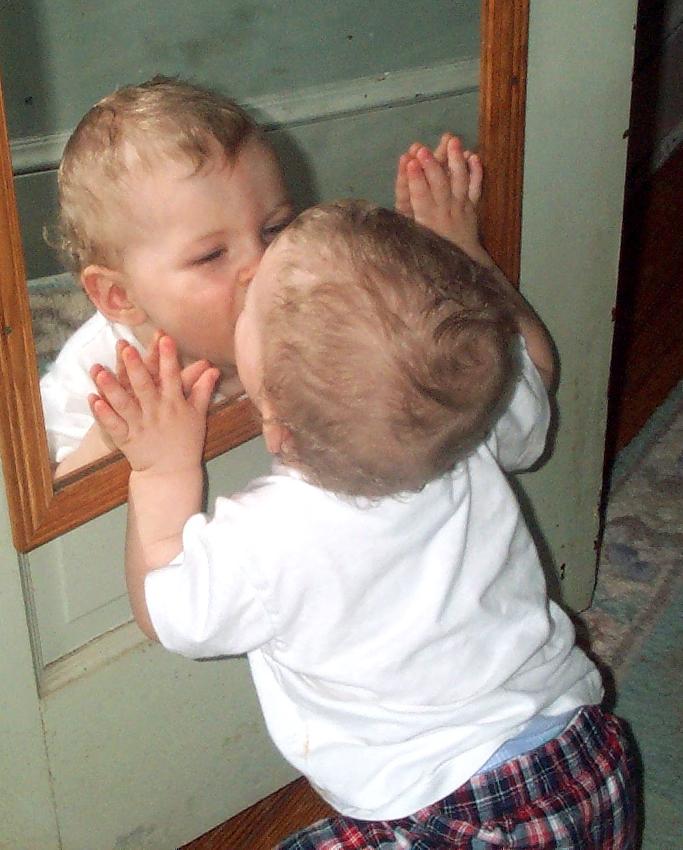 Courtesy of roseoftimothywoods 65% of human infants can recognize themselves at 20-24 months of age. 