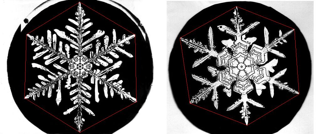 A snowflake always has six sides or arms.