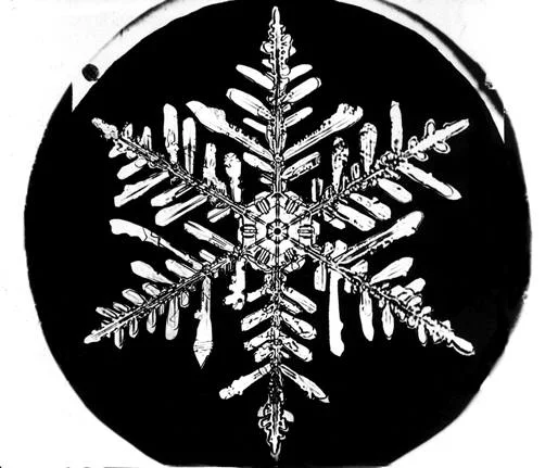 Chill out! Freezing Rain, Snow, and Sleet