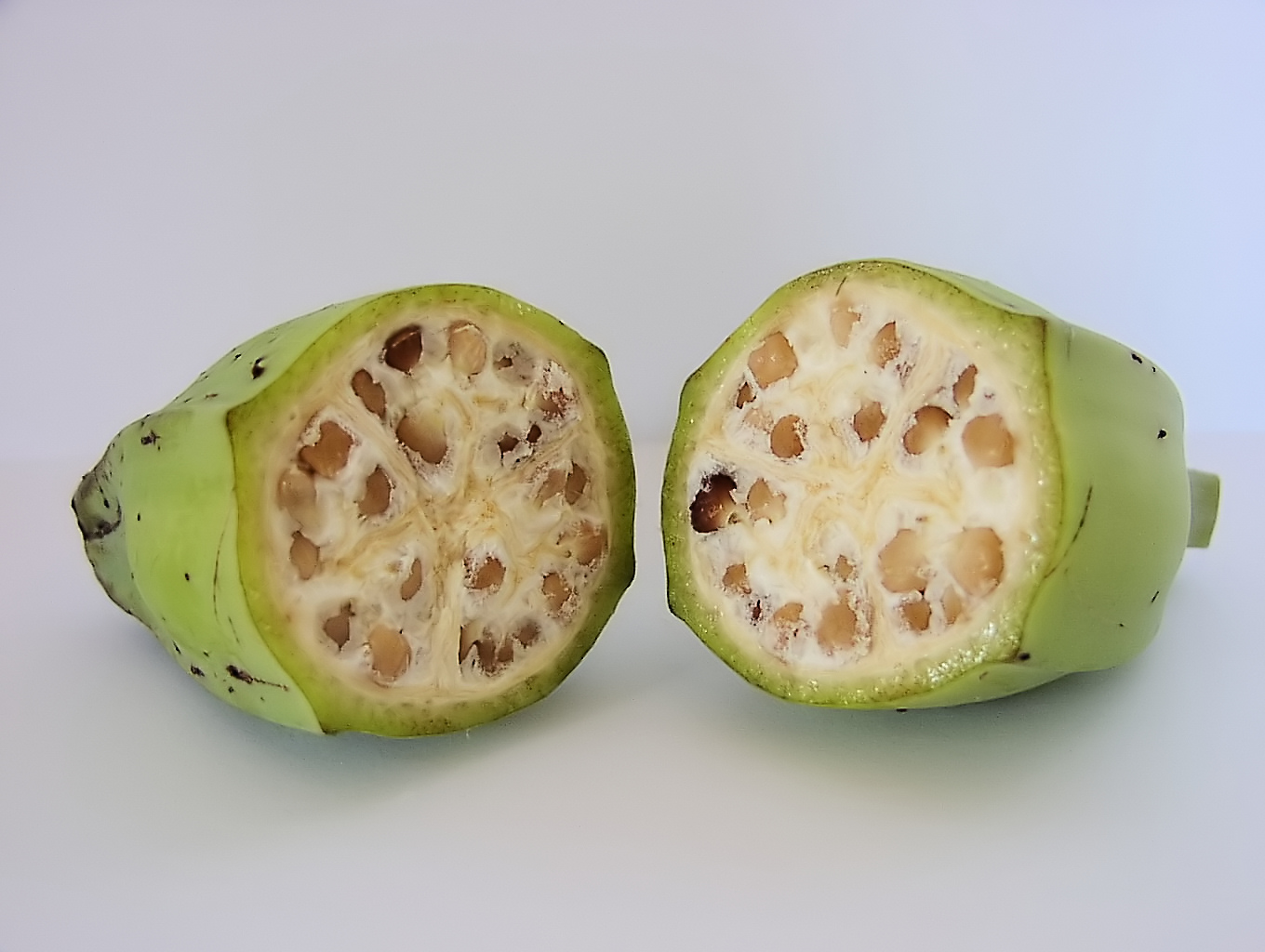 Courtesy of Warut Roonguthai This is a wild banana. Wild bananas have large hard seeds that make them difficult to eat.