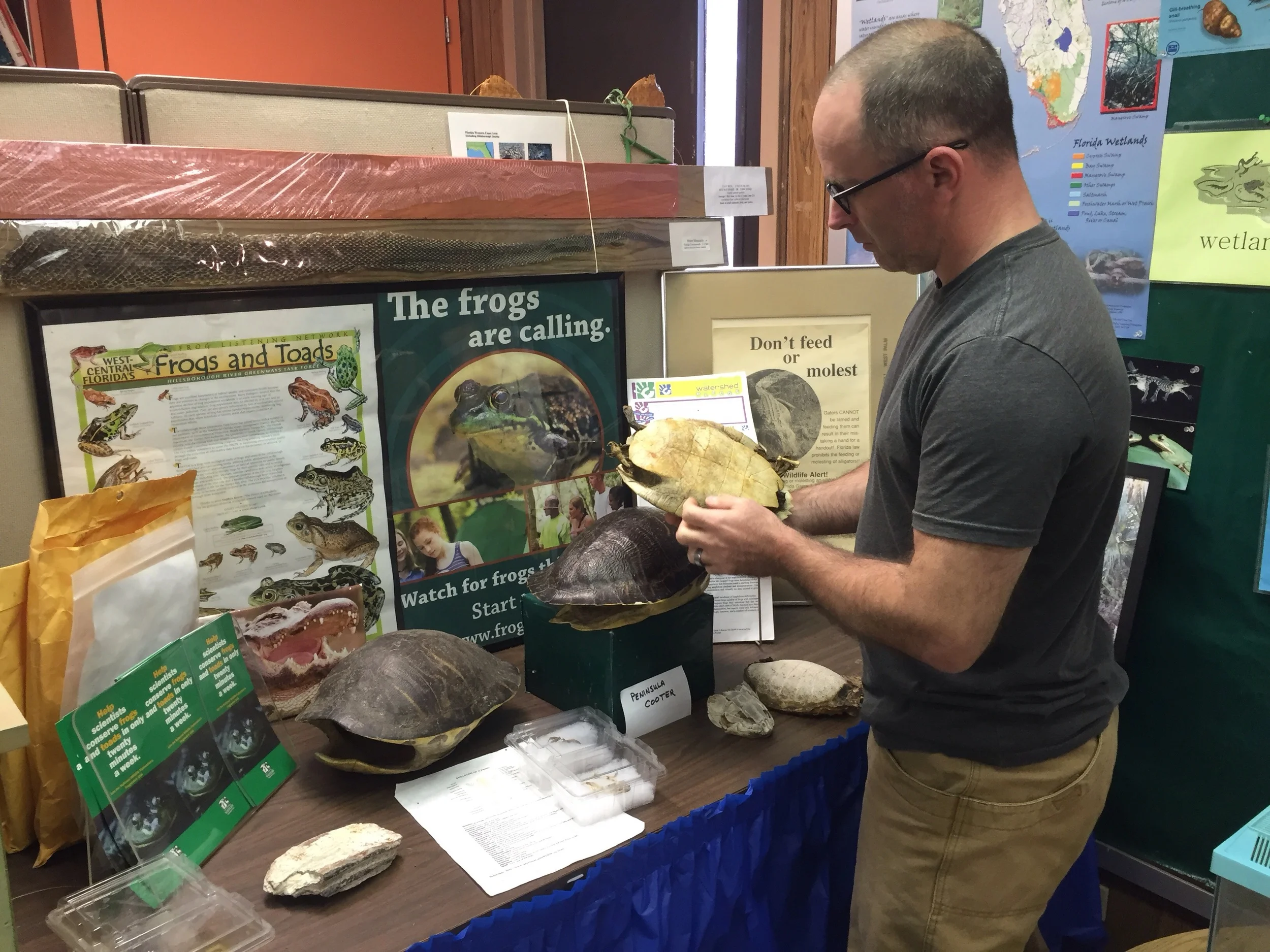 Examining turtle shells at the Camp Bayou nature center.