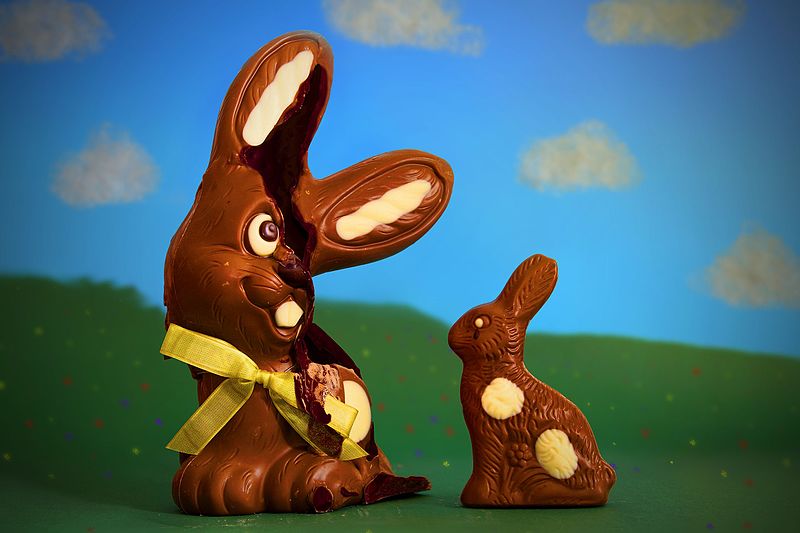 Unlike us, chocolate rabbits can only melt when heated. Photo by Pi Consti
