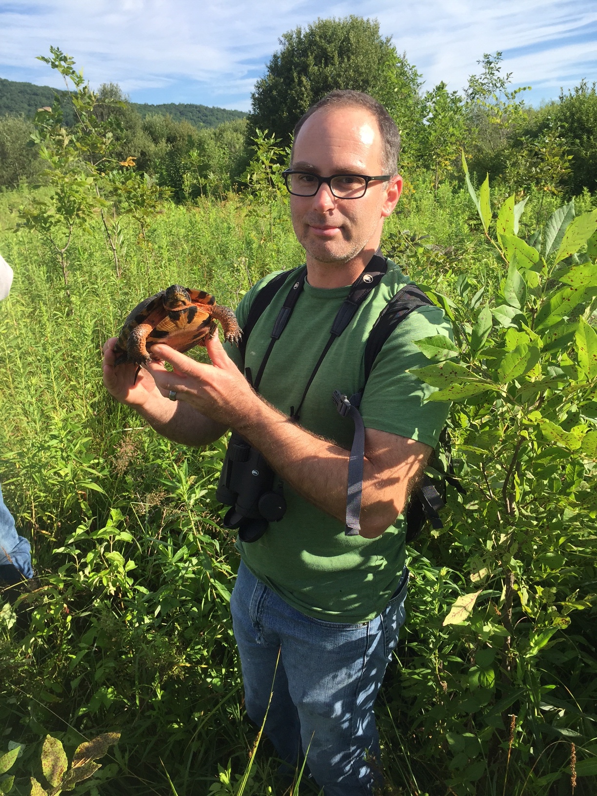 My first wood turtle found in the wild! Photograph by Anthony Pierlioni