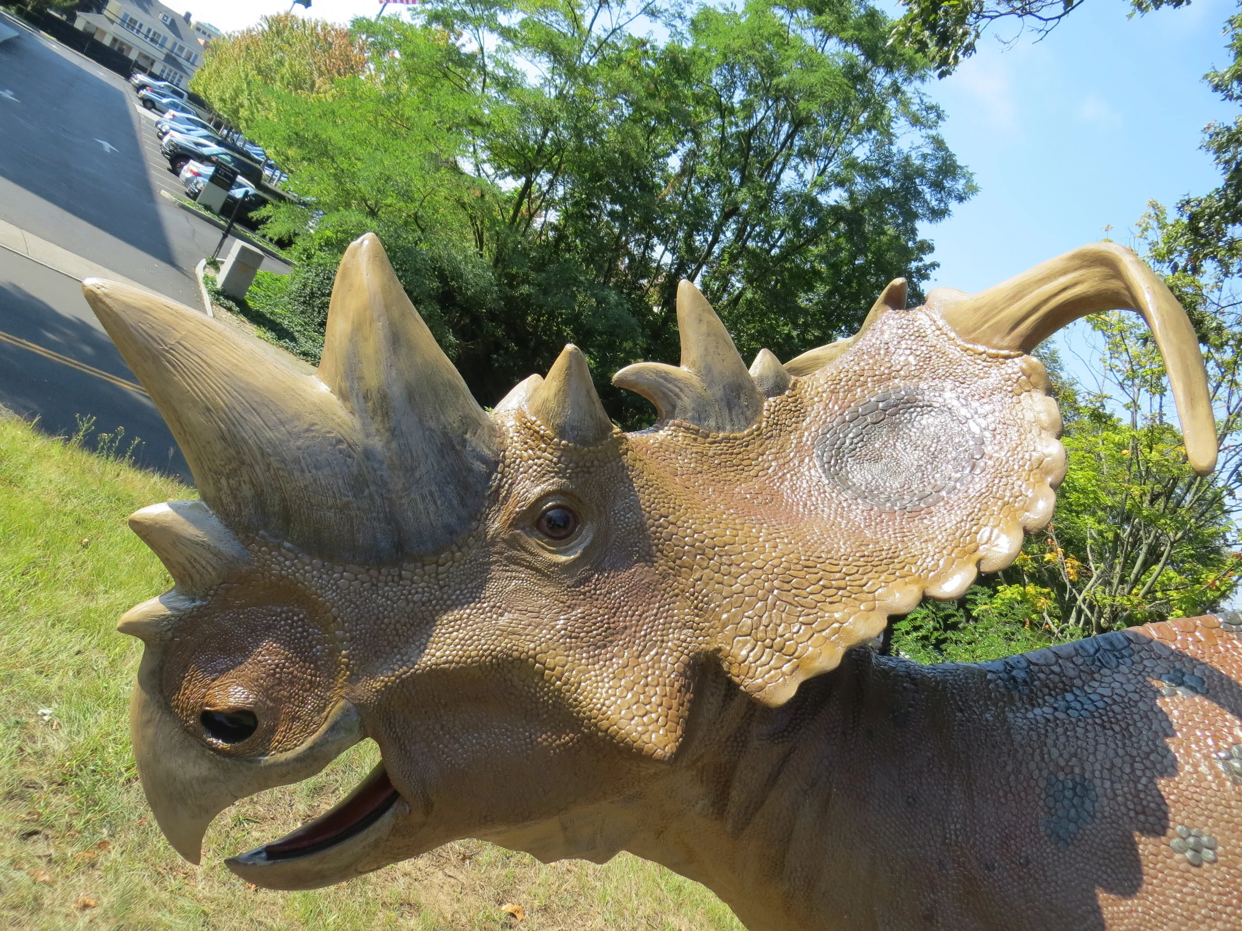 Your Friendly Neighborhood Dinosaurs: Pachyrhinosaurus