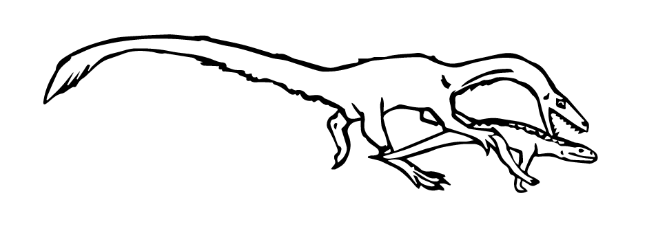 Coelophysis attacking the crocodylomorph Hesperosuchus . Illustration by Kate Dzikiewicz