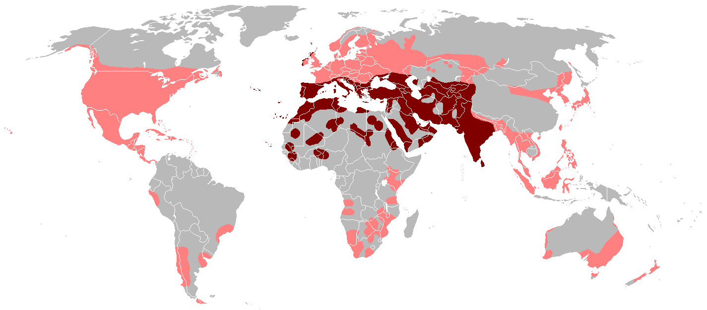 Dark red: The approximated native range of the rock dove. Light red: Introduced feral pigeon populations. Image by Viktor Kravtchenko/