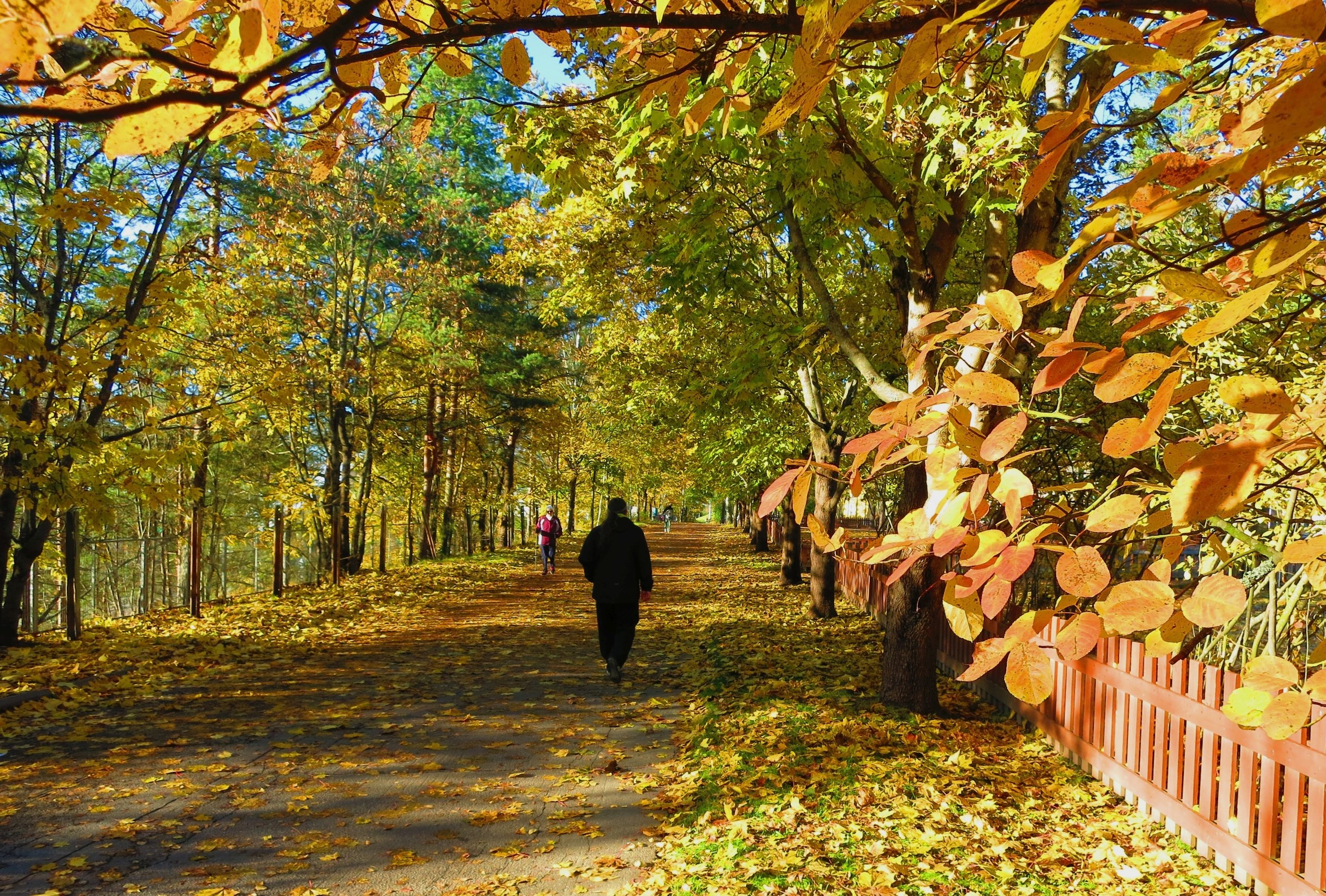 Image by Maasaak.