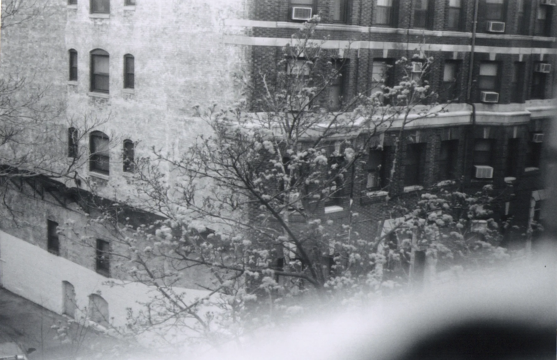film18.jpg