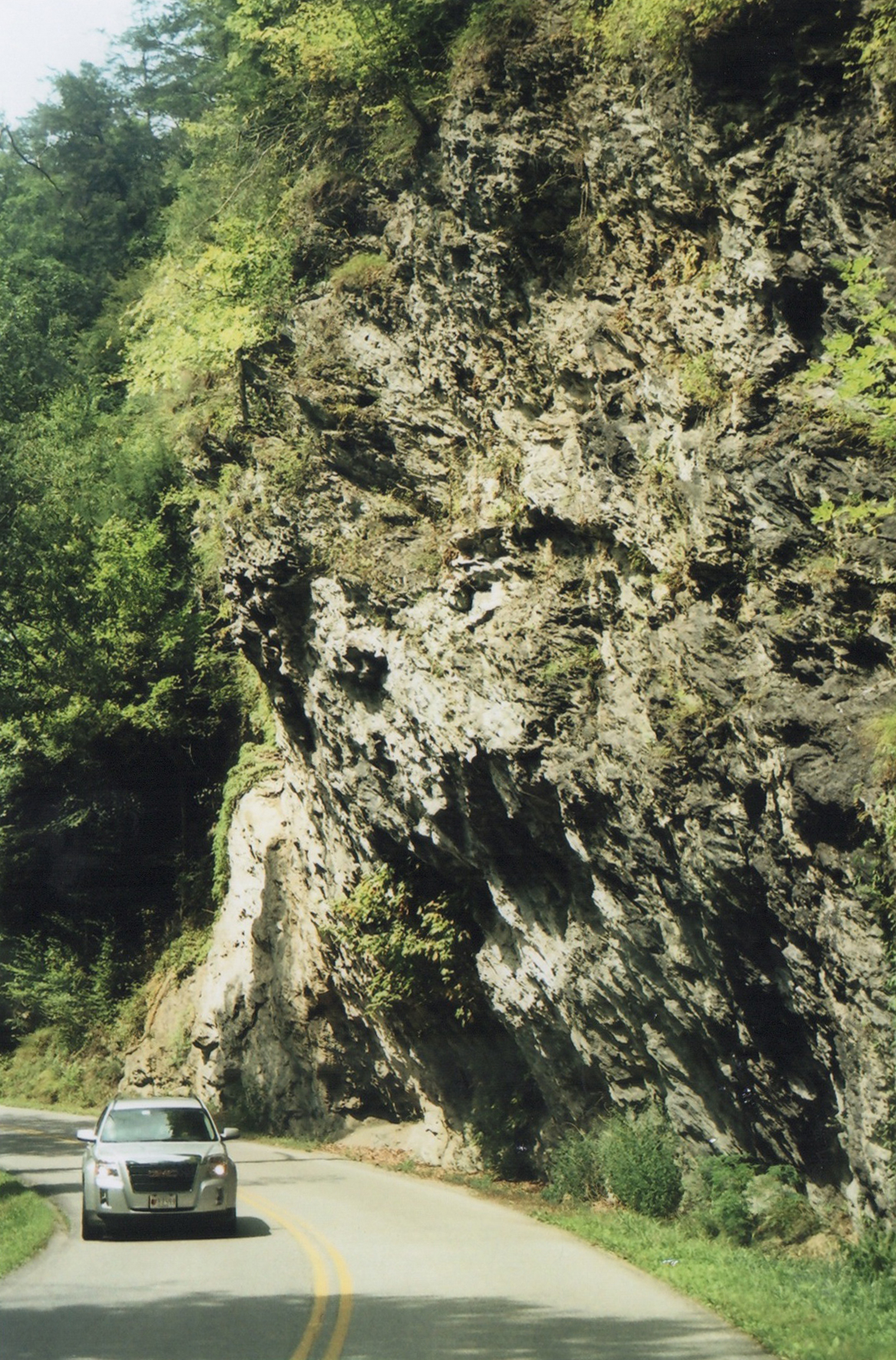 Scan 108.jpeg