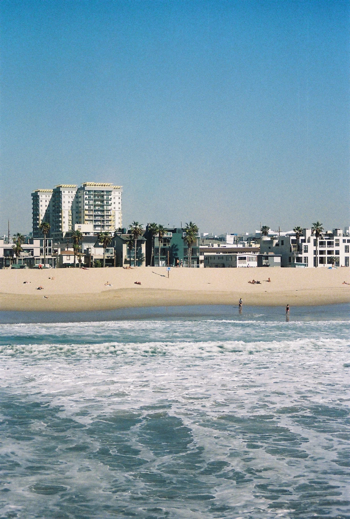 LA FILM29.jpg