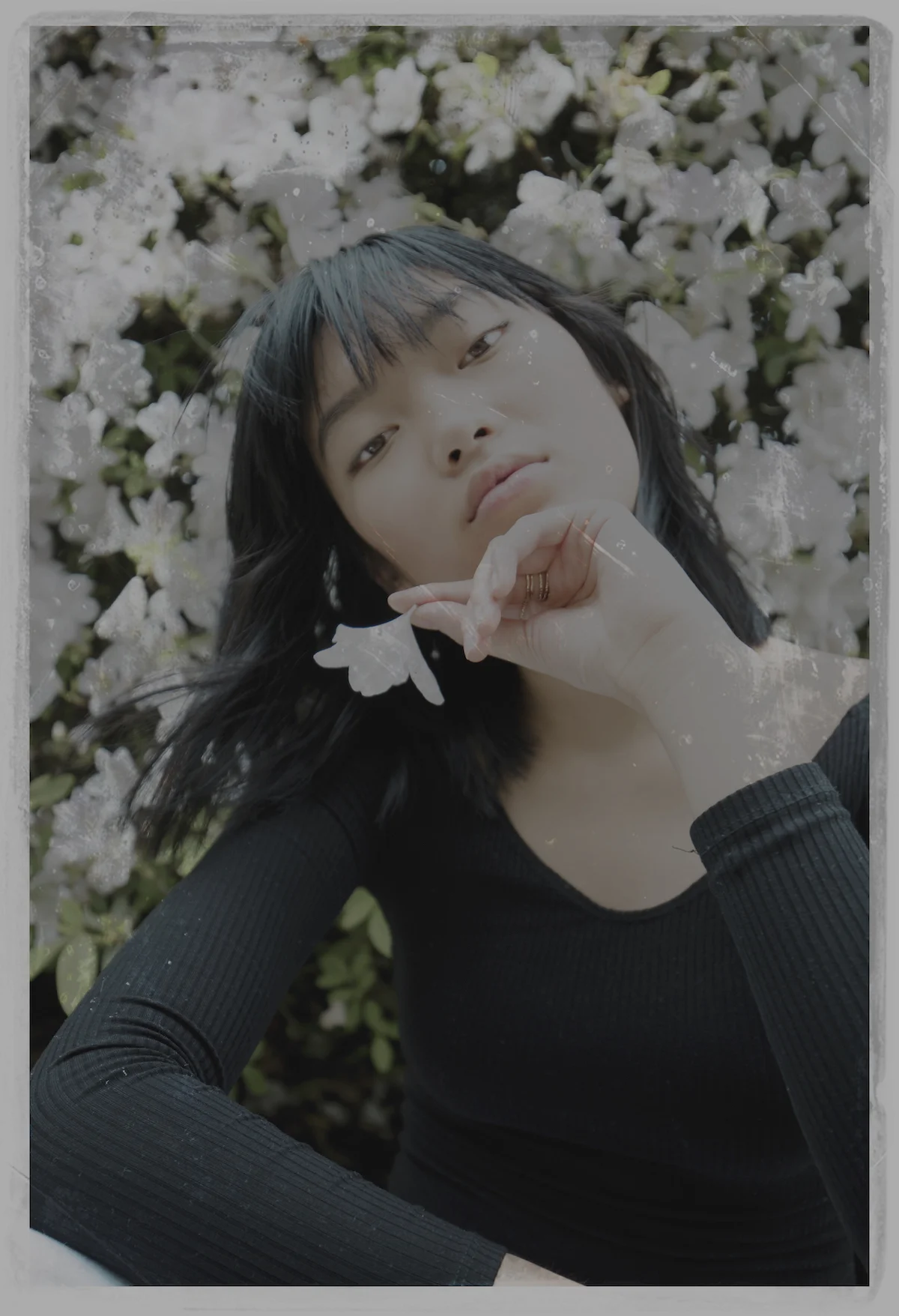 chloespring53 copy.jpg