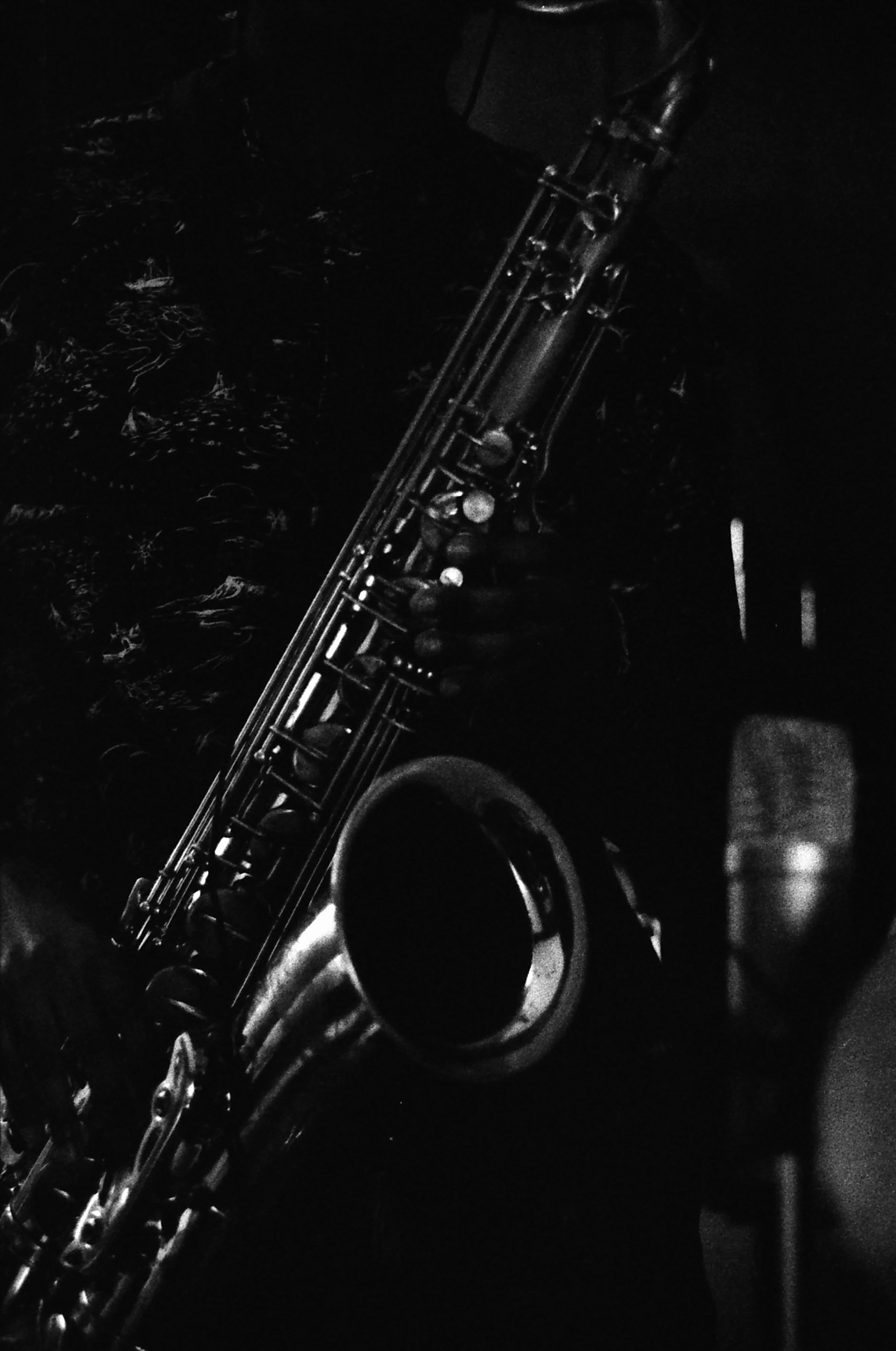 IMG_20190101_0011.jpg