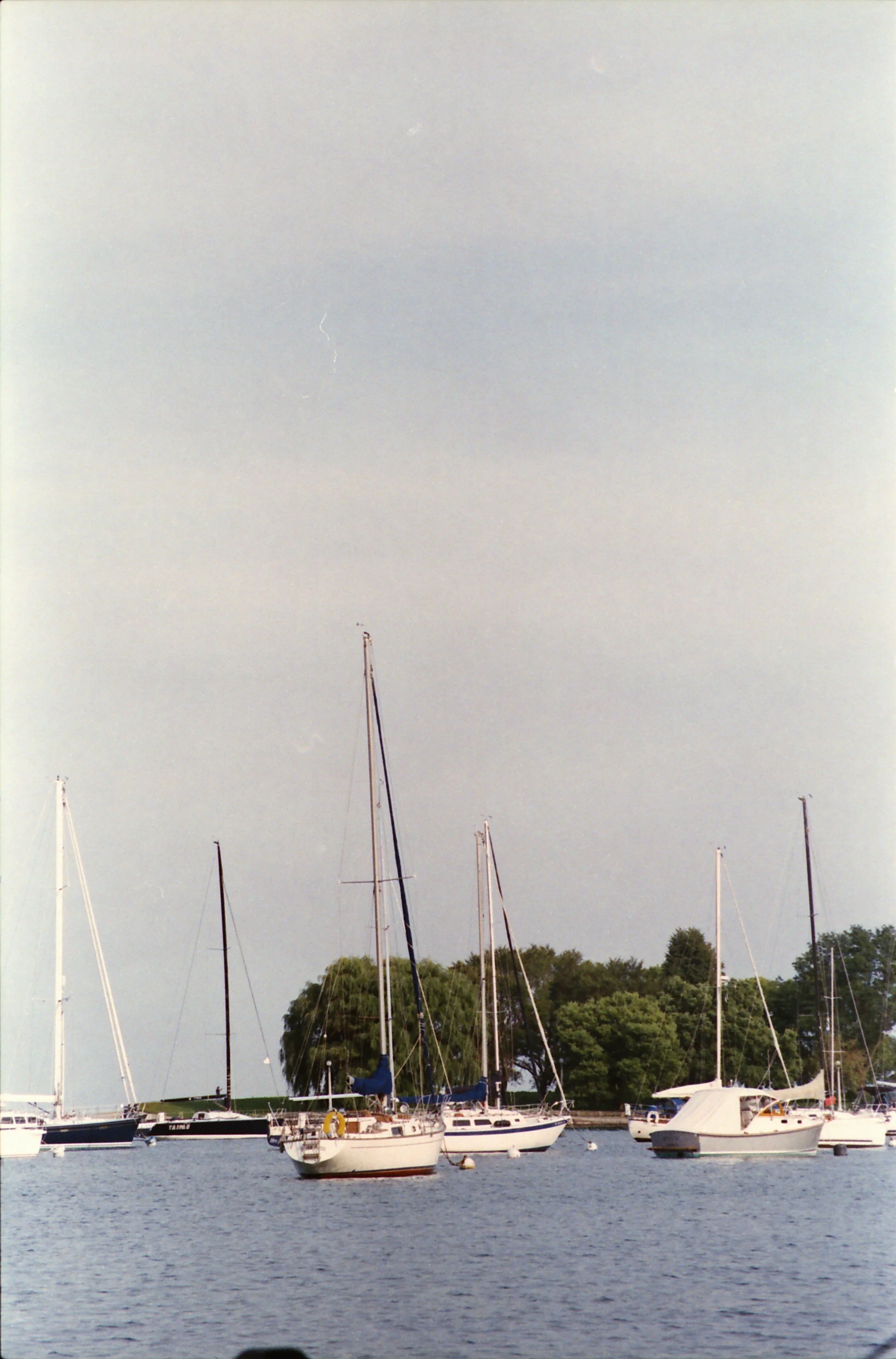 IMG_20191001_0052.jpg