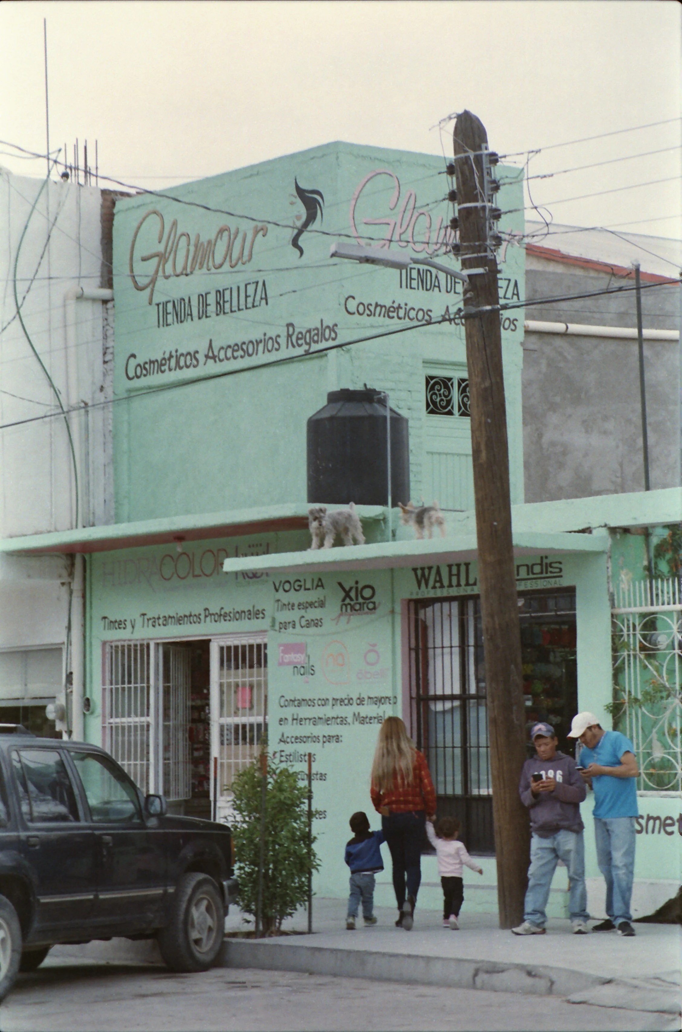 IMG_20200401_0018.jpg