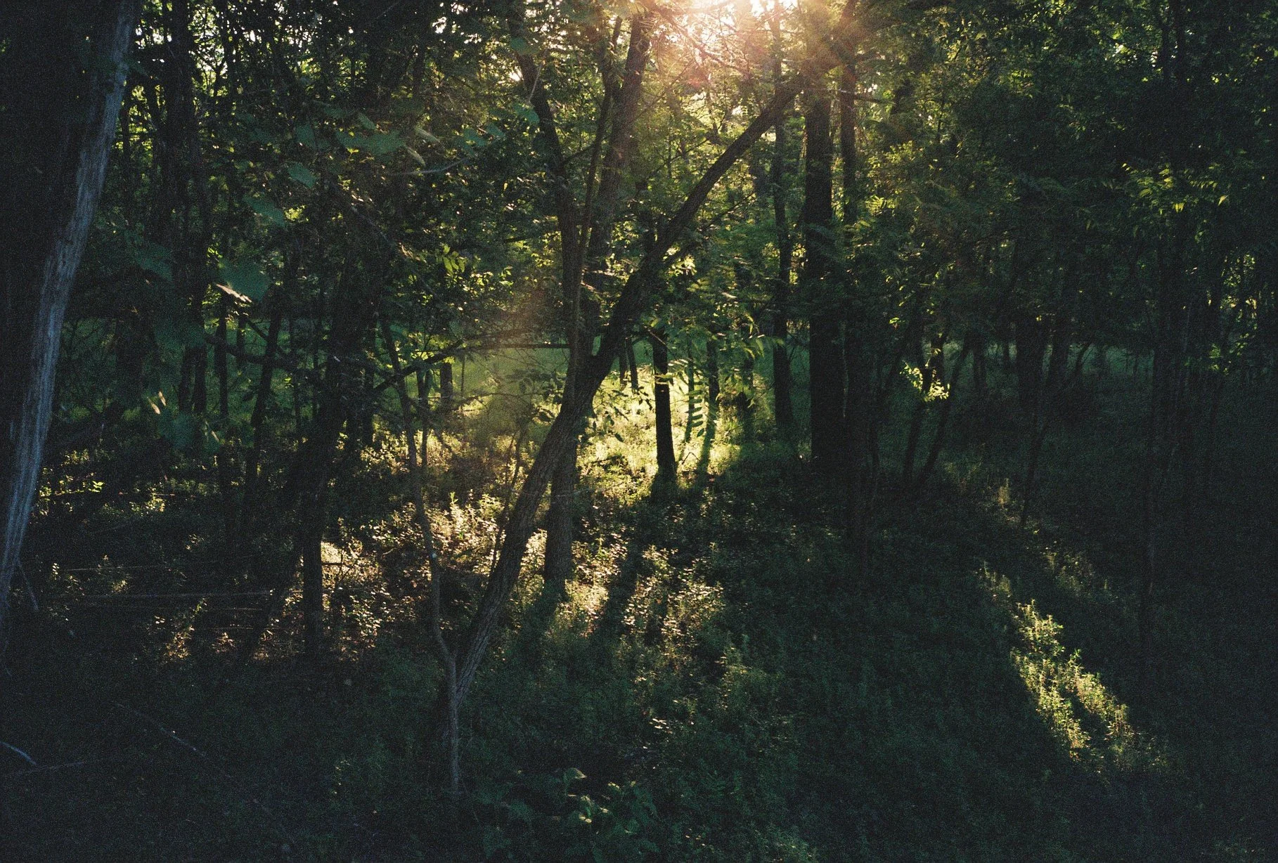 R1-04531-0021.JPG