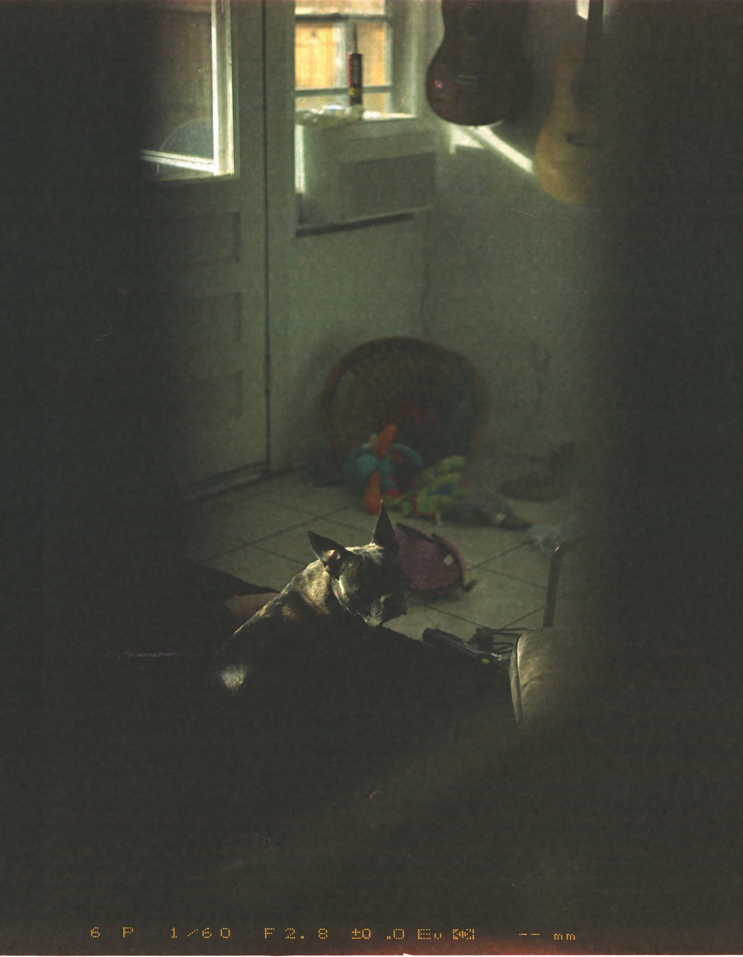 IMG_20211116_0011.jpg