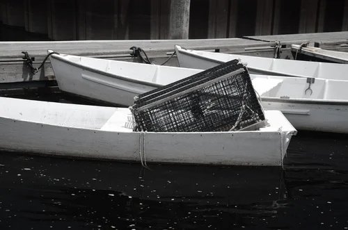 black+lobster+trap.jpg
