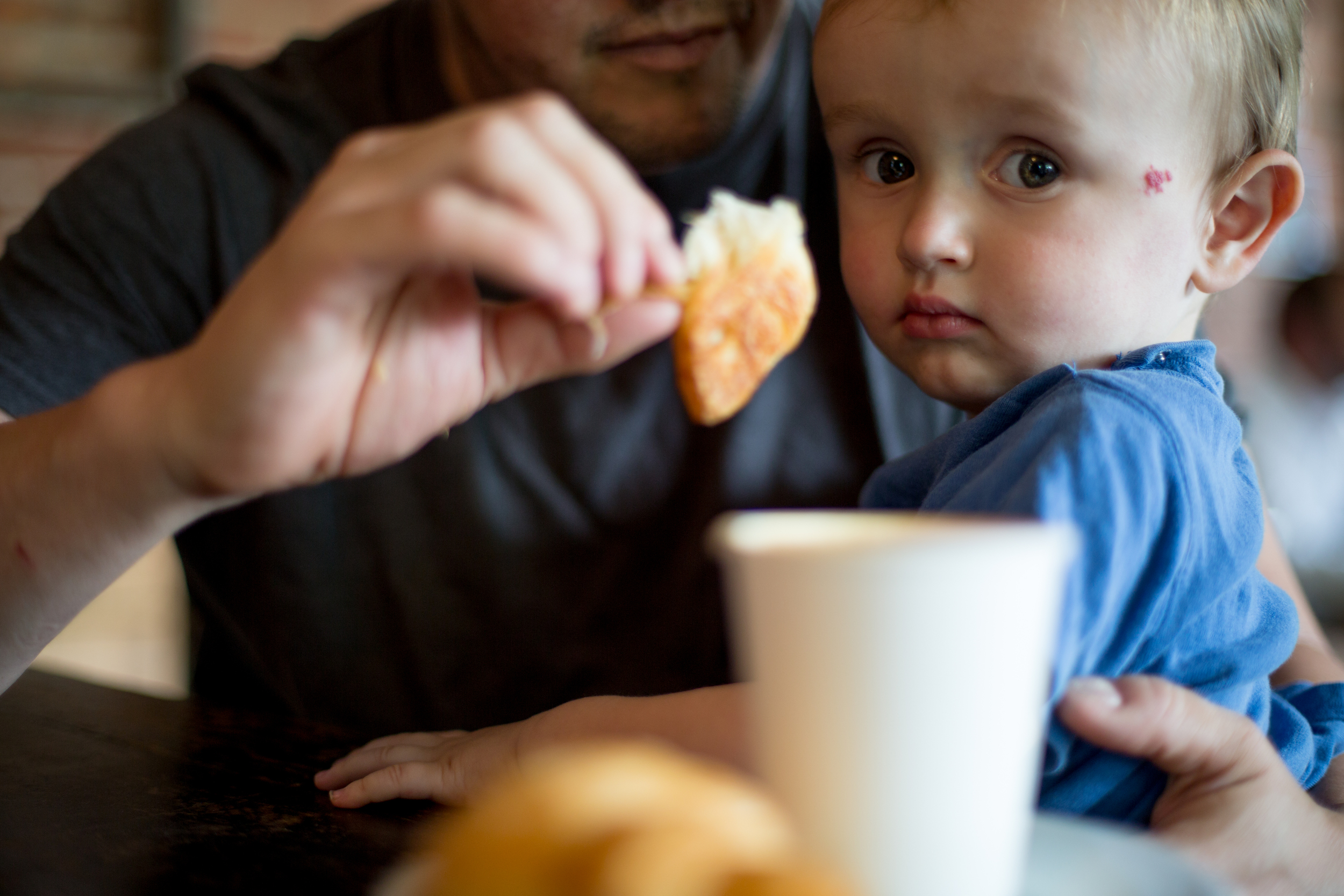 Aug. 30, 2014 || Amongst the regulars at the cafè, Levon stands out. He enjoys his morning croissant along with chasing birds on the patio.