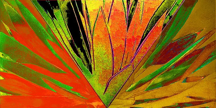 AGAVE 1