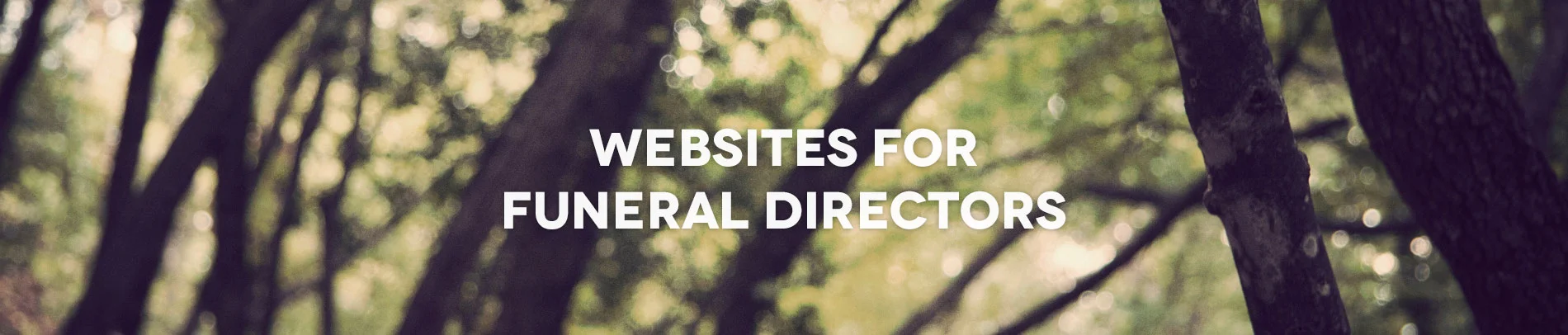 measured_brilliance-websites_for_funeral_directors.jpg