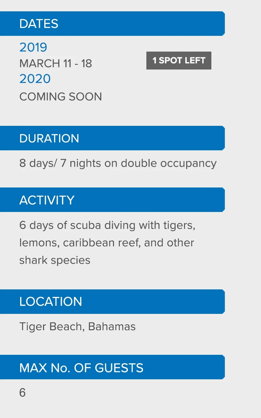 TIGER+SHARKS+DETAILS.jpg