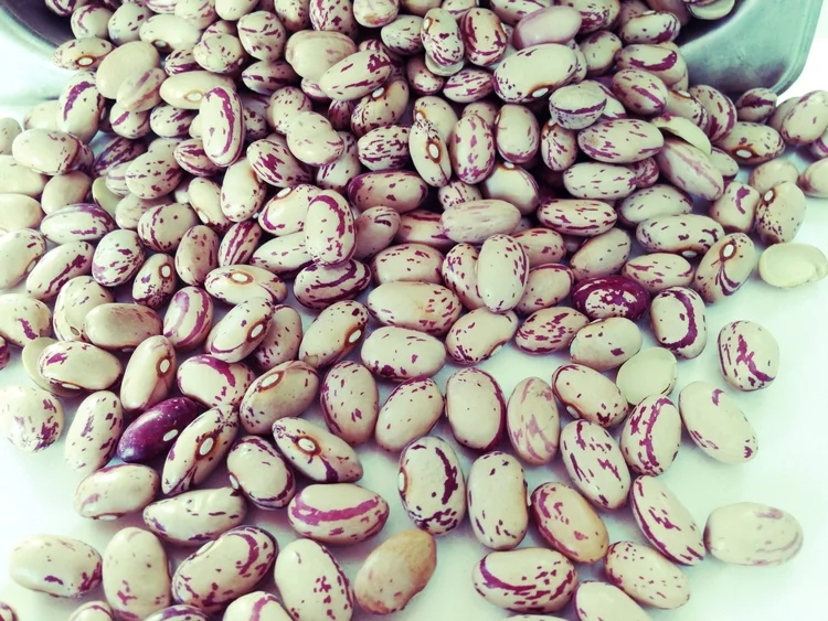 BEans.jpeg