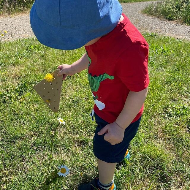 Collecting wild flowers with our tailor made cardboard flower holder🌷 #lockdown2020 #toddleractivities