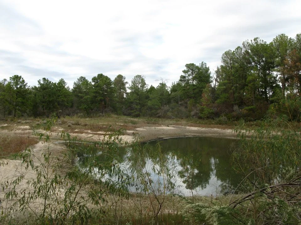 Yegua Knobbs Preserve Work Day 